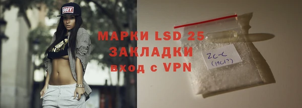 индика Абдулино