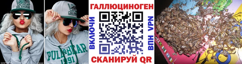 дарк нет как зайти Липецк Галлюциногенные грибы MAGIC MUSHROOMS