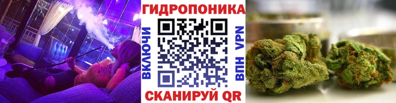 Шишки марихуана планчик  цена   Липецк 